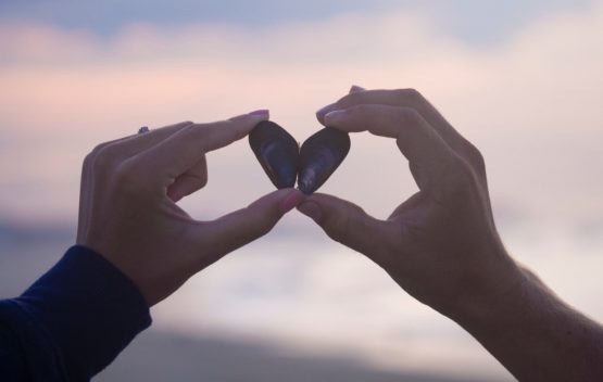 hands_heart_shell_135545_1920x1080